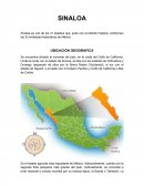 Sinaloa. UBICACIÓN GEOGRAFICA