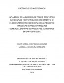 INFLUENCIA DE LA SUCESION DE PODER, CONFLICTOS EMOCIONALES Y ESTRATEGIAS DE CRECIMIENTO