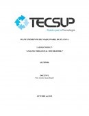 ANÁLISIS VIBRACIONAL MOTOR-BOMBA