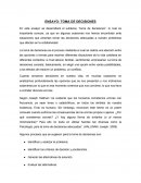 Ensayo toma de decisiones