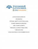 TIPOS DE REDACCION ENSAYO