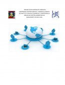 Infome final Auditoria Shopping Bags Corregido.