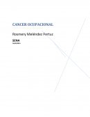 CANCER DE ORIGEN OCUPACIONAL