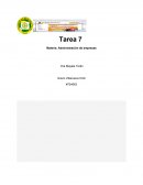 Tarea 7 Materia: Administración de empresas