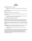 Ensayode la investigacionr de trabajo en un problema de productividad