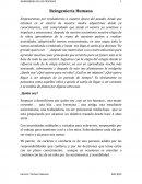 Reingenieria humana.