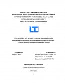 Problemas, Necesidades o Intereses del Contexto