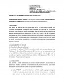 NULIDAD DE TODO LO ACTUADO POR AFECTACION AL DEBIDO PROCESO