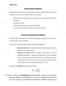 PRÁCTICA 3 IDENTIFICACIÓN DE MINERALES