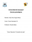 Tema: Resumen El estudio de caso