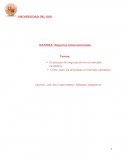 Como Internacionalizar una empresa