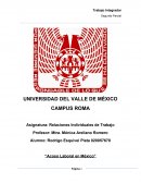 Laboral UNIVERSIDAD DEL VALLE DE MÉXICO