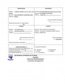 Informe para pasantias