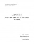 ESPECTROFOTOMETRIA DE ABSORCION ATÓMICA.