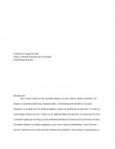 Ensayo, Película Escritores de la Libertad