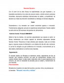 Trabajo Marketing Estrategico