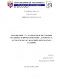 ESTRATEGIAS DE FINANCIAMIENTO FACTIBLES PARA EL DESARROLLO DE EMPRENDIMIENTO DE LAS PYMES EN EL SECTOR SERVICIO DEL MUNICIPIO VALENCIA ESTADO CARABOBO