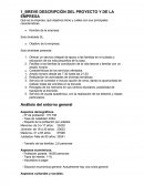 BREVE DESCRIPCIÓN DEL PROYECTO Y DE LA EMPRESA