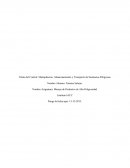 Título del Control: Manipulacion, Almacenamiento y Transporte de Sustancias Peligrosas.