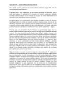 Lanzamiento y comercialización del producto