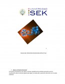 CUALES SON LAS CAUSAS QUE PROVOCAN DISCAPACIDAD INTELECTUAL