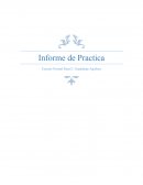 Informe de Practica roblemática de la indisciplina