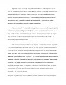 El Profesional Reflexivo (D.A. Schön)