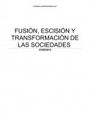 FUSIÓN, ESCISIÓN Y TRANSFORMACIÓN DE LAS SOCIEDADES