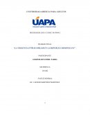 LA VIOLENCIA INTRAFAMILIAR EN LA REPUBLICA DOMINICANA