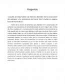 ¿Cuáles de estas fuentes de alimento dependen de la conservación del ambiente y los ecosistemas de Puerto Rico? ¿Cuáles se originan fuera de Puerto Rico?