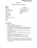 PRACTICA CAMBIOS FISICOS Y QUIMICOS