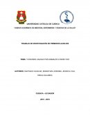 Las Lesiones cuasada por animales e insectos