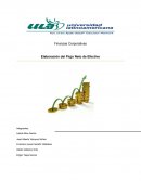 Elaboración del Flujo Neto de Efectivo