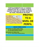 FORTALECIMIENTO DE LA CADENA PRODUCTIVA DE LA CEBOLLA EN EL CENTRO POBLADO DE ICHU, DISTRITO