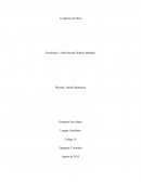 Ensayo> La ladrona de libros