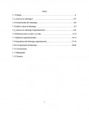 Liderazgo en Organizaciones