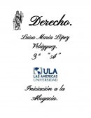 Introducción a la abogacia