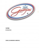 INDUSTRIA CONSERVERA DEL GUAYAS PARA SISTEMAS