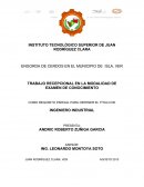 ENGORDA DE CERDOS EN EL MUNICIPIO DE ISLA, VER