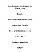 Como es el Almohdon de plumas