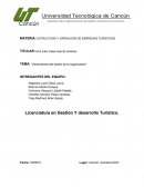 Dimensiones del diseño de la organización