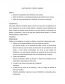 Definicion de los términos y conceptos generales de la Anatomía como ciencia.