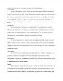 COMPONENTES DE UN INFORME DE GESTIÓN PROFESIONAL