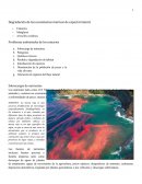 Degradación de los ecosistemas marinos de especial interés