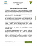 Ensayo sobre las Prácticas Sociales del Lenguaje.