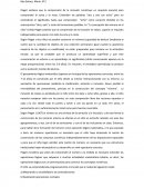 La concepción del número en el niño (1952)