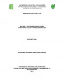 Empresa es AGROINCE LTDA & CIA S.A.S caso