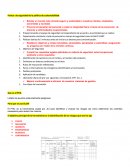 Brindar un mundo más cómodo seguro y sustentable a nuestros clientes, empleados, accionistas y sociedad