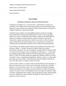 Etimología, concepción y relación con autores posteriores