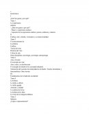 Estetica Teoria de Arte